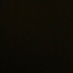 Meet your Posher, Delaney